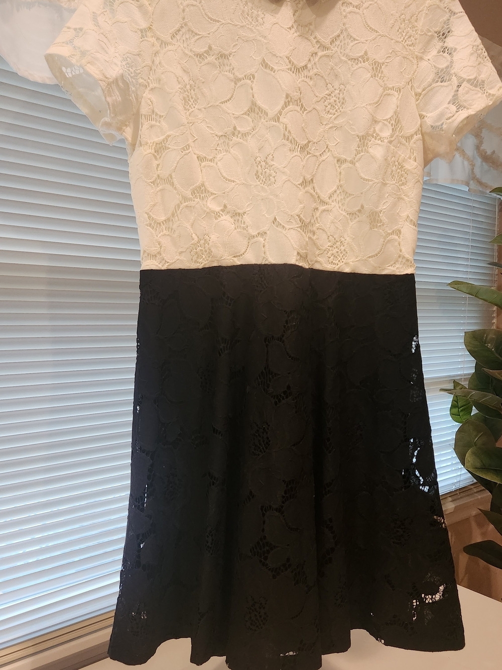 Maison Jules Two-Tone Lace Fit & Flare Dress - Cream & Black